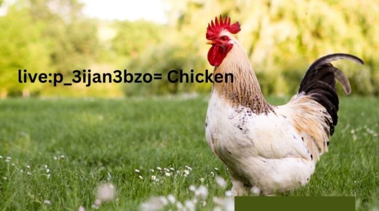 Livep_3ijan3bzo= Chicken - Exploring the Viral Phenomenon